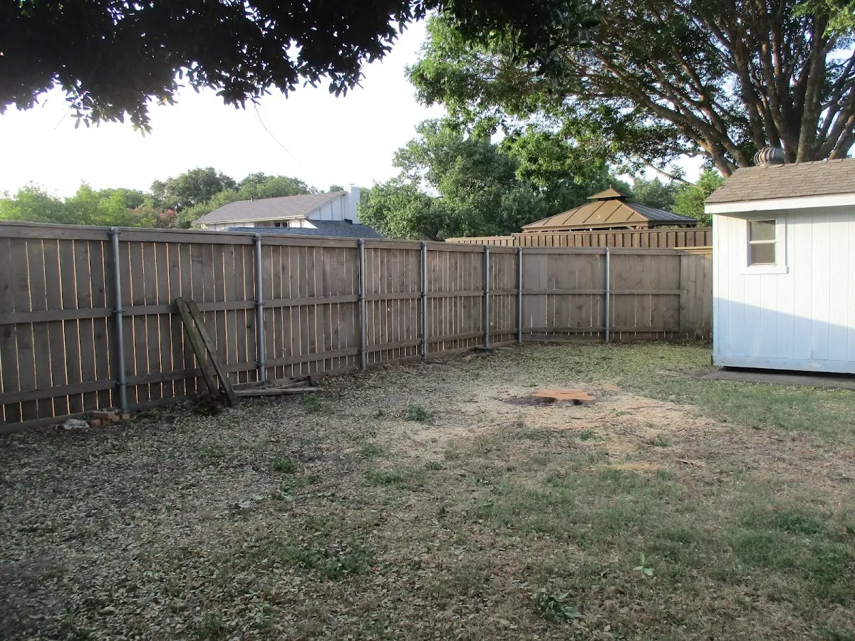 Cleared yard after professional tree removal in South Barre